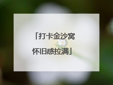 打卡金沙窝 怀旧感拉满