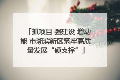 抓项目 强建设 增动能 市湖滨新区筑牢高质量发展“硬支撑”