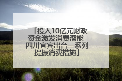 投入10亿元财政资金激发消费潜能 四川宜宾出台一系列提振消费措施
