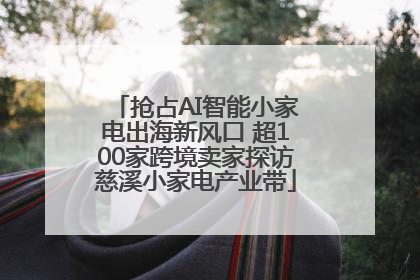 抢占AI智能小家电出海新风口 超100家跨境卖家探访慈溪小家电产业带