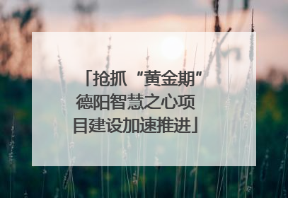 抢抓“黄金期” 德阳智慧之心项目建设加速推进