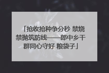抢收抢种争分秒 禁烧禁抛筑防线——郎中乡干群同心守好 粮袋子