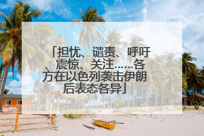 担忧、谴责、呼吁、震惊、关注……各方在以色列袭击伊朗后表态各异