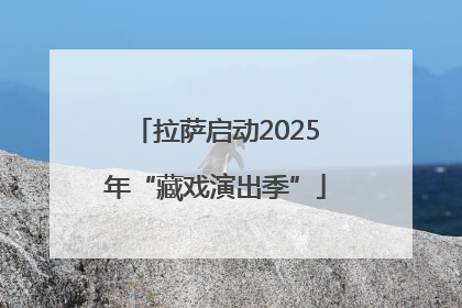 拉萨启动2025年“藏戏演出季”