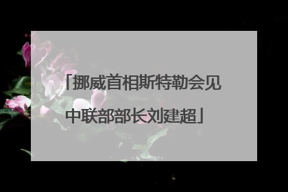 挪威首相斯特勒会见中联部部长刘建超