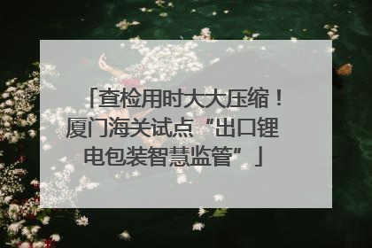 查检用时大大压缩！厦门海关试点“出口锂电包装智慧监管”