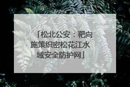 松北公安：靶向施策织密松花江水域安全防护网