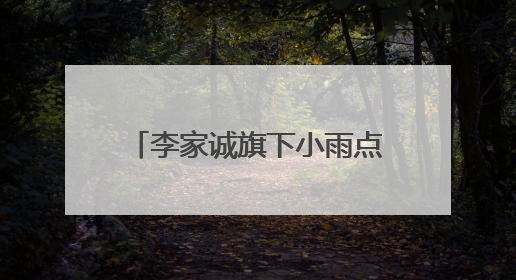 李家诚旗下小雨点小贷拥抱AI热潮，取得亮眼成绩