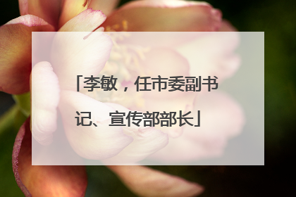 李敏，任市委副书记、宣传部部长