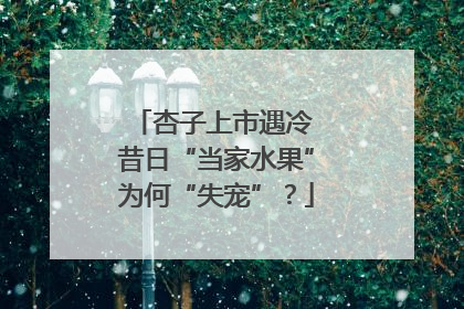 杏子上市遇冷 昔日“当家水果”为何“失宠”？