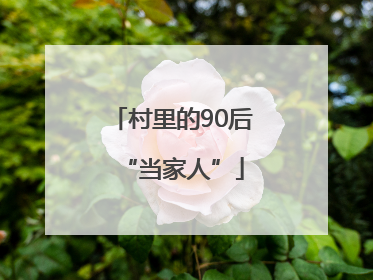村里的90后“当家人”