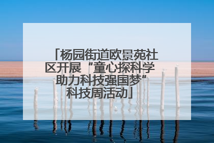 杨园街道欧景苑社区开展“童心探科学 助力科技强国梦”科技周活动