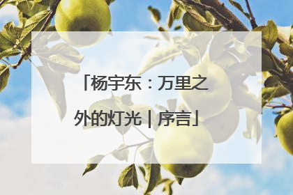 杨宇东：万里之外的灯光｜序言