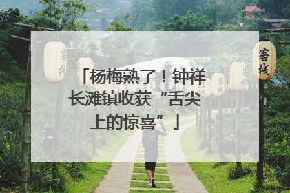 杨梅熟了！钟祥长滩镇收获“舌尖上的惊喜”