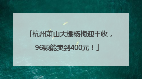 杭州萧山大棚杨梅迎丰收，96颗能卖到400元！