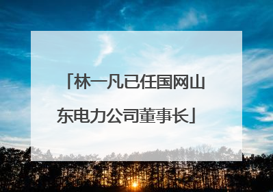 林一凡已任国网山东电力公司董事长