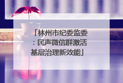 林州市纪委监委：民声微信群激活基层治理新效能