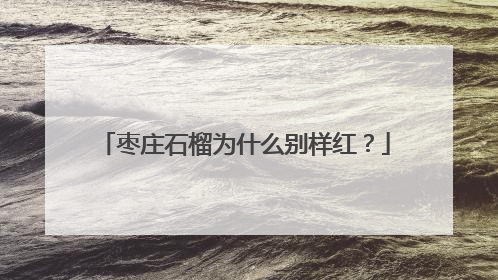 枣庄石榴为什么别样红？