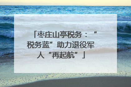 枣庄山亭税务：“税务蓝”助力退役军人“再起航”