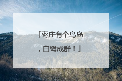 枣庄有个鸟岛，白鹭成群！