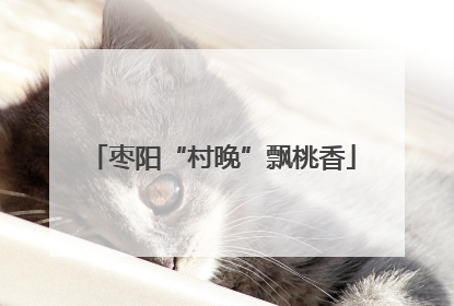 枣阳“村晚”飘桃香
