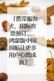 携带服务犬、国际客票预订……鸿蒙版中国国航让更多用户心愿成真