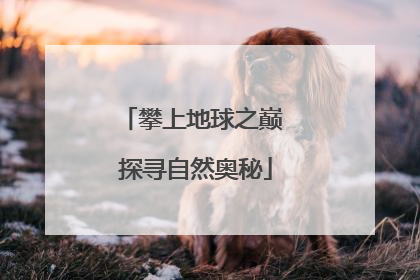 攀上地球之巅 探寻自然奥秘