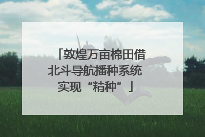 敦煌万亩棉田借北斗导航播种系统实现“精种”