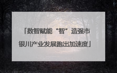 数智赋能“智”造强市 银川产业发展跑出加速度
