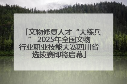 文物修复人才“大练兵” 2025年全国文物行业职业技能大赛四川省选拔赛即将启幕