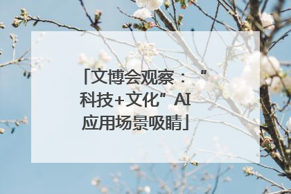 文博会观察：“科技+文化”AI应用场景吸睛