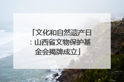 文化和自然遗产日：山西省文物保护基金会揭牌成立