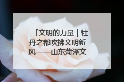 文明的力量｜牡丹之都吹拂文明新风——山东菏泽文明创建一线见闻