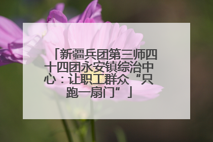 新疆兵团第三师四十四团永安镇综治中心：让职工群众“只跑一扇门”