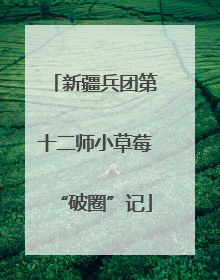 新疆兵团第十二师小草莓“破圈”记