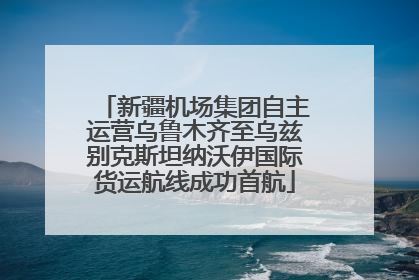 新疆机场集团自主运营乌鲁木齐至乌兹别克斯坦纳沃伊国际货运航线成功首航