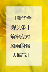 新华全媒头条丨筑牢应对风雨的强大底气