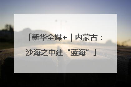 新华全媒+｜内蒙古：沙海之中建“蓝海”