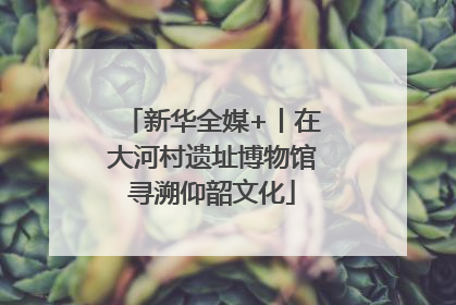 新华全媒+丨在大河村遗址博物馆寻溯仰韶文化