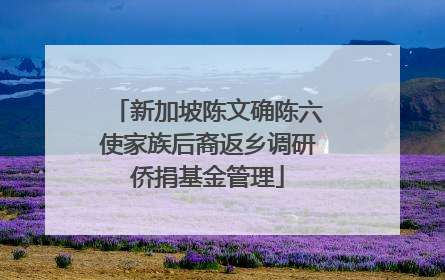 新加坡陈文确陈六使家族后裔返乡调研侨捐基金管理