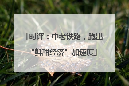 时评：中老铁路，跑出“鲜甜经济”加速度