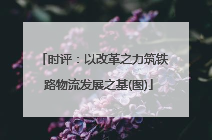 时评：以改革之力筑铁路物流发展之基(图)