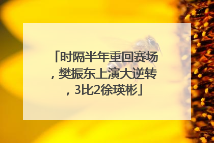 时隔半年重回赛场，樊振东上演大逆转，3比2徐瑛彬