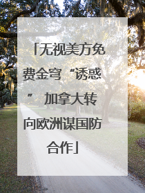 无视美方免费金穹“诱惑” 加拿大转向欧洲谋国防合作