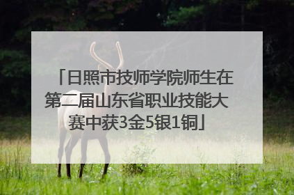 日照市技师学院师生在第二届山东省职业技能大赛中获3金5银1铜
