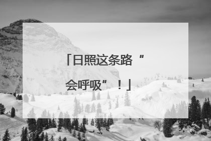 日照这条路“会呼吸”！