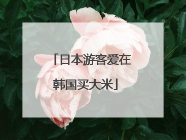 日本游客爱在韩国买大米