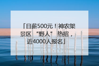 日薪500元！神农架景区 “野人” 热招，近4000人报名