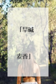 旱碱麦香