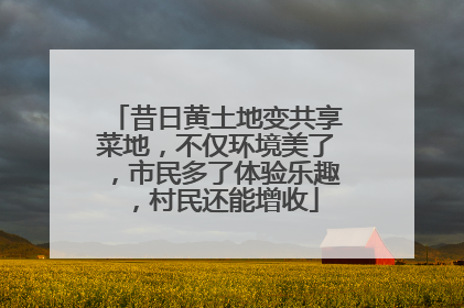 昔日黄土地变共享菜地，不仅环境美了，市民多了体验乐趣，村民还能增收